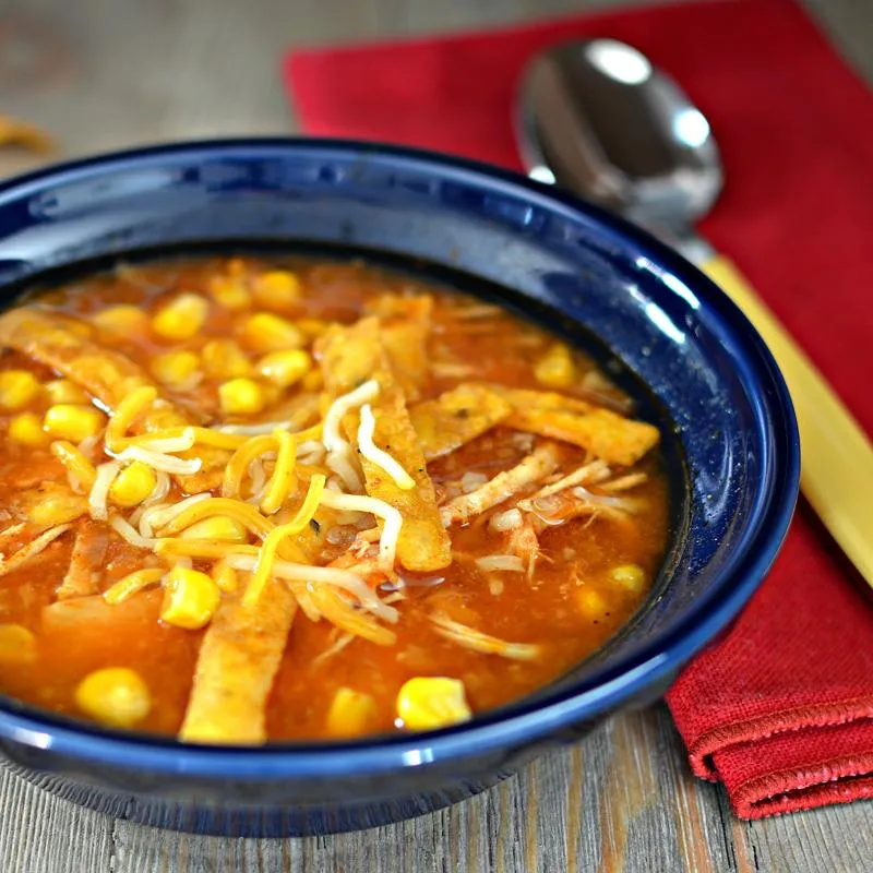 Instant Pot & Sopa de Frango e Tortilla