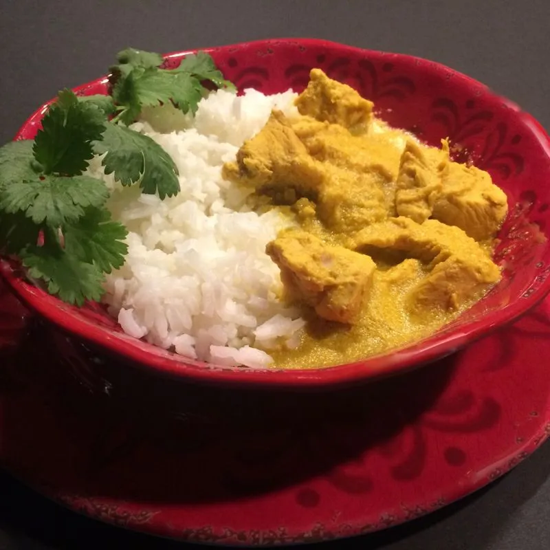 Instant Pot & Frango Manteiga