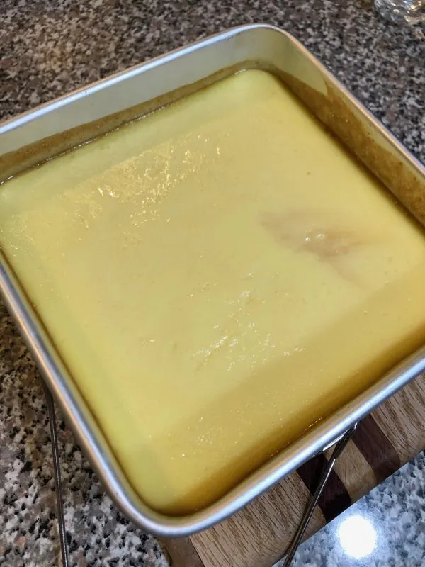 Instant Pot & Bahn Flan vietnamita Flan