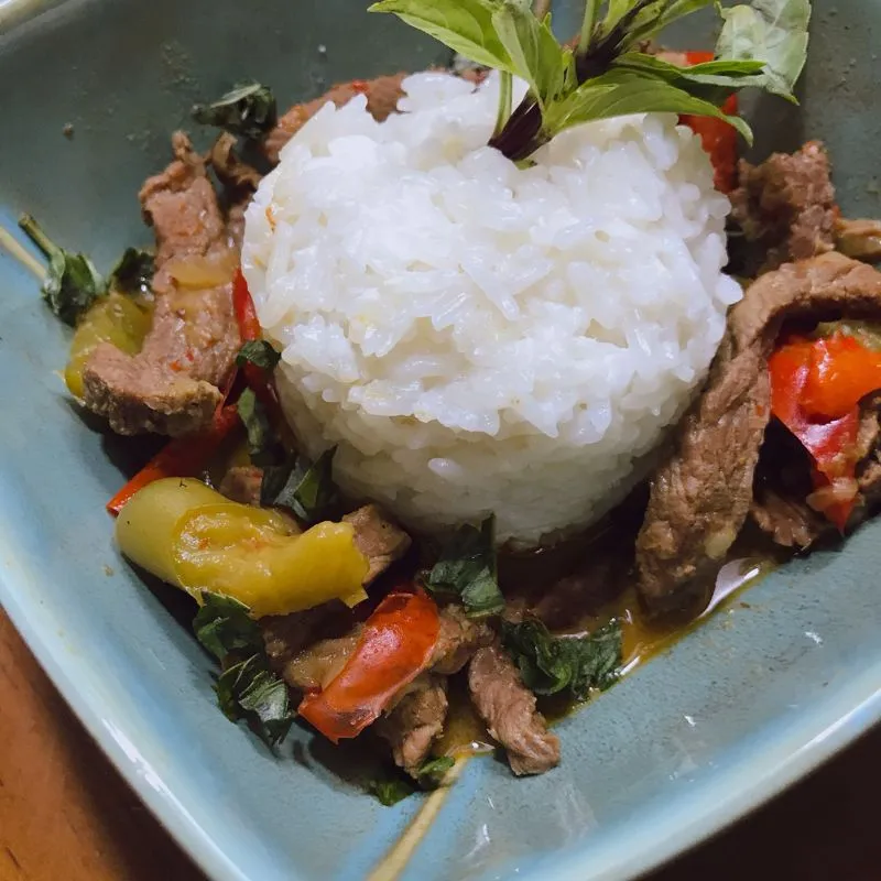 Instant Pot & Carne Panang Curry