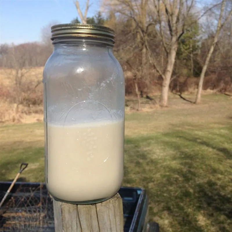 Linda’s Coconut Horchata