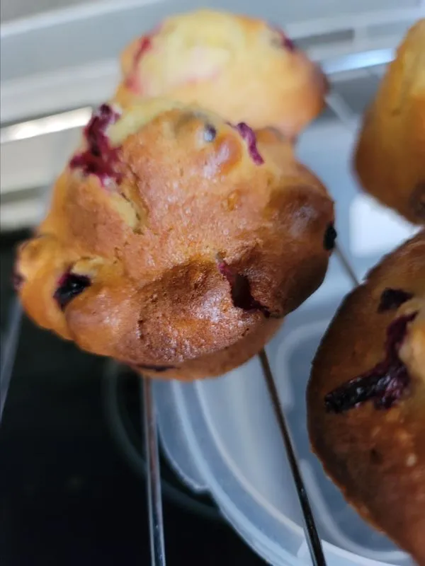 Muffins de Laranja-Cranberry