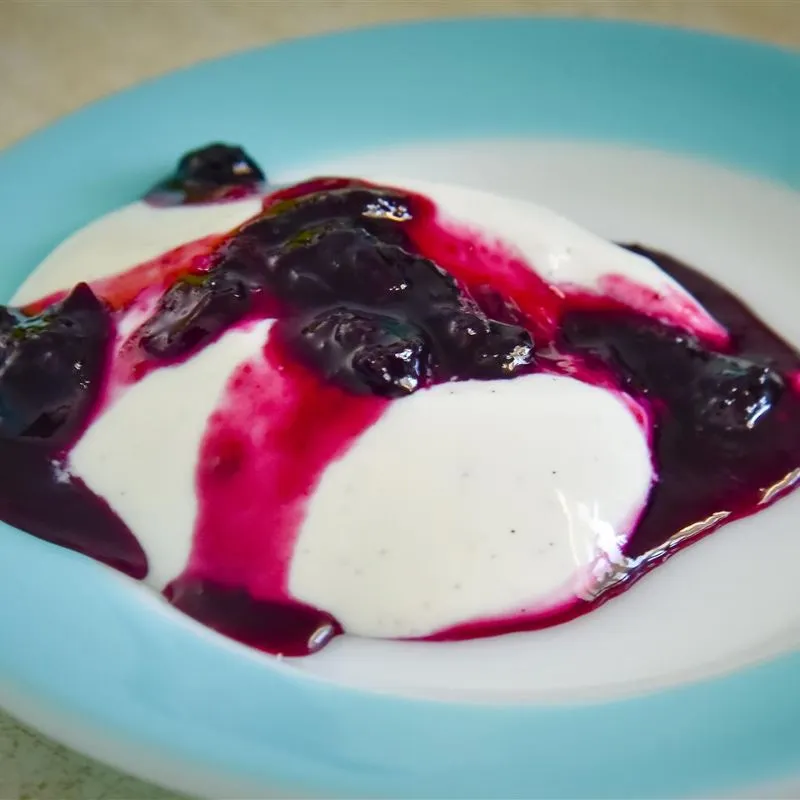 O melhor panna cotta que você já teve